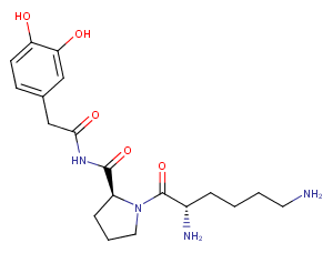 Dopamine,lys-pro-amide-ͼƬ