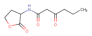 N-(Ketocaproyl)-DL-homoserine lactoneͼƬ