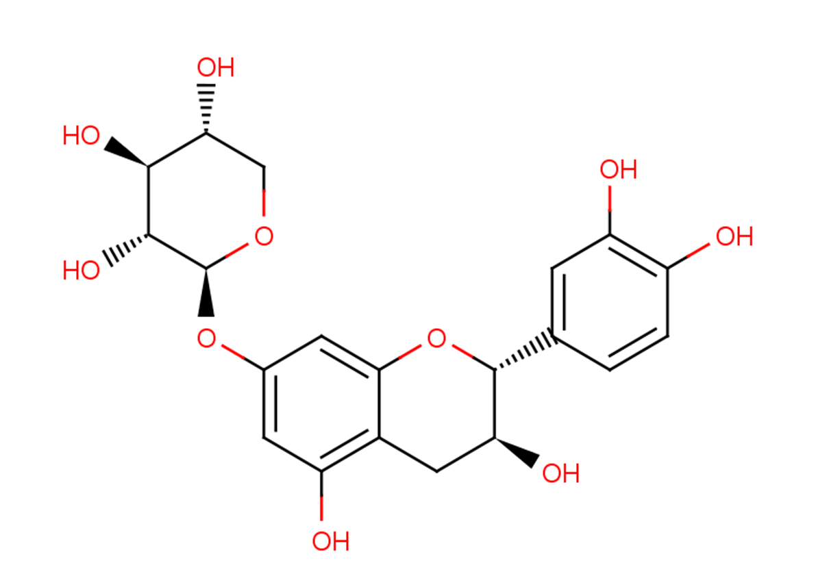 Catechin-7-O-xylosideͼƬ