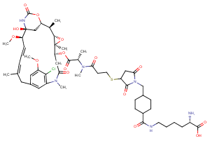 Lys-SMCC-DM1ͼƬ