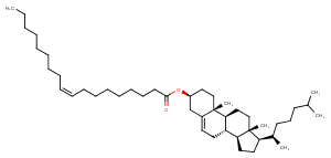 Cholesteryl oleateͼƬ