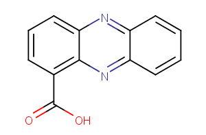 Phenazine-1-carboxylic acidͼƬ