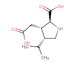 Dihydrokainic acidͼƬ