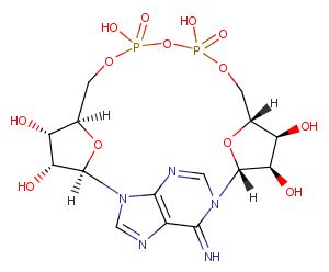 Cyclic ADP-riboseͼƬ