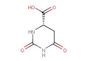 L-Dihydroorotic acidͼƬ