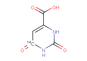 Orotic acid-6-C14ͼƬ