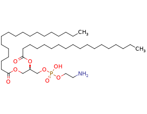 1,2-Distearoyl-sn-glycero-3-phosphorylethanolamineͼƬ