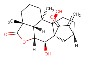 ent-7alpha,9-Dihydroxy-15-oxokaur-16-en-19,6bet-olideͼƬ