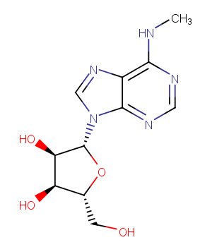 N6-MethyladenosineͼƬ