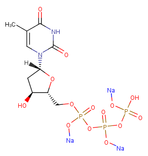 Deoxythymidine-5'-triphosphate trisodiumͼƬ