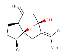 IsocurcumenolͼƬ