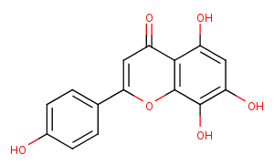 8-HydroxyapigeninͼƬ