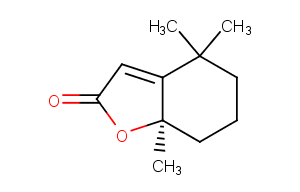 DihydroactinidiolideͼƬ