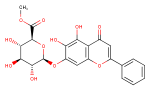 Baicalin methyl esterͼƬ