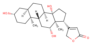 DigoxigeninͼƬ