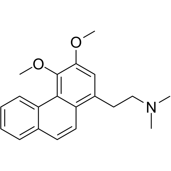 AtherosperminineͼƬ