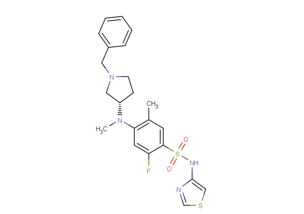 ZandatrigineͼƬ