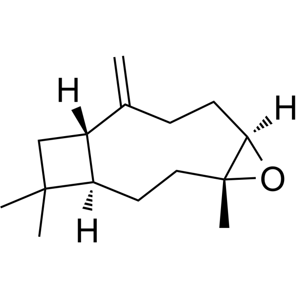 Caryophyllene oxideͼƬ