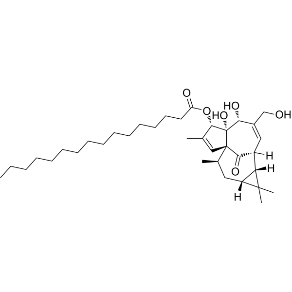 Ingenol-3-palmitateͼƬ