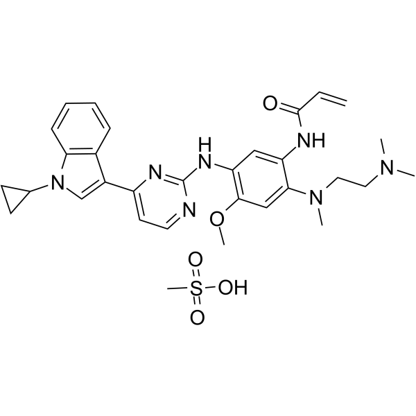 Almonertinib mesylateͼƬ