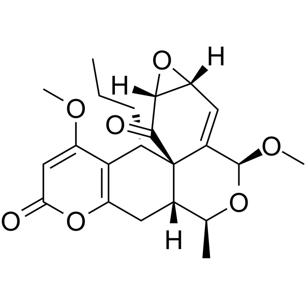 Herpotrichone AͼƬ