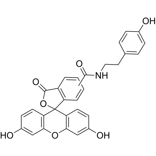 Fluorescein TyramideͼƬ