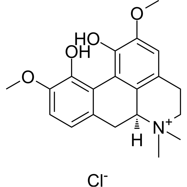 (+)-Magnoflorine chlorideͼƬ