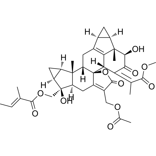 Chlorahololide DͼƬ