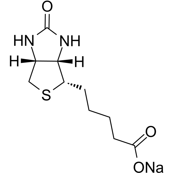 Biotin sodiumͼƬ