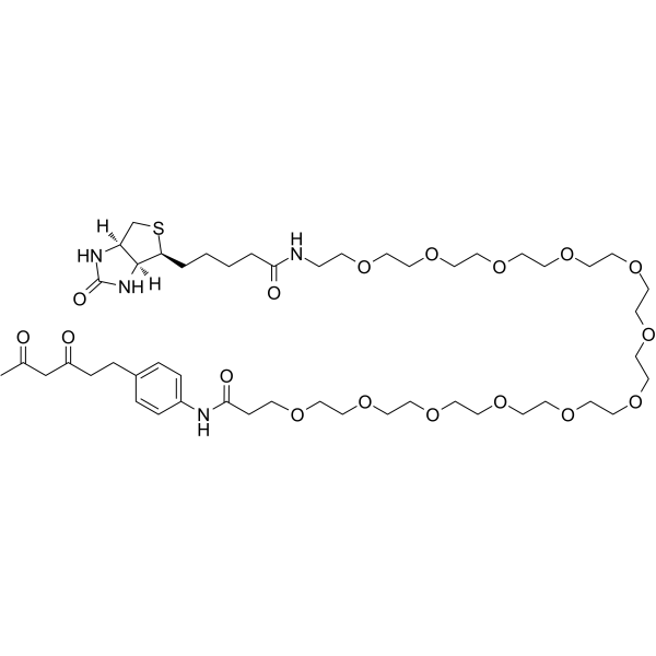 Diketone-PEG12-BiotinͼƬ