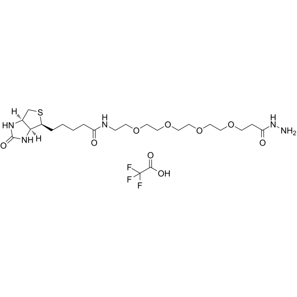 Biotin-PEG4-hydrazide TFAͼƬ