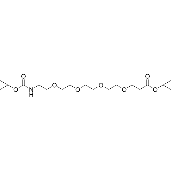 Boc-NH-PEG4-C2-BocͼƬ