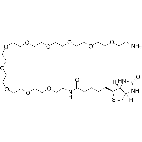 Biotin-PEG10-amineͼƬ