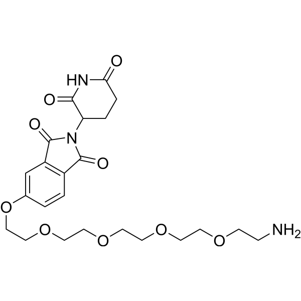 Thalidomide-PEG5-NH2ͼƬ