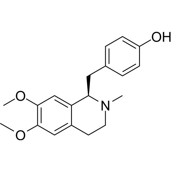 ArmepavineͼƬ