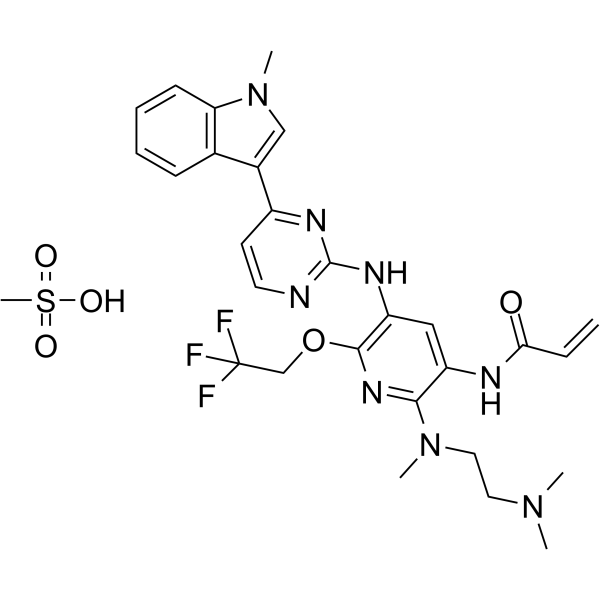 Alflutinib mesylateͼƬ