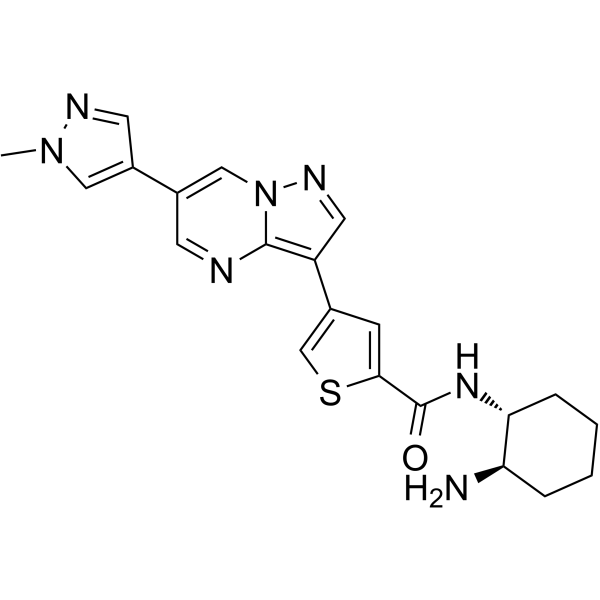 MARK-IN-4ͼƬ