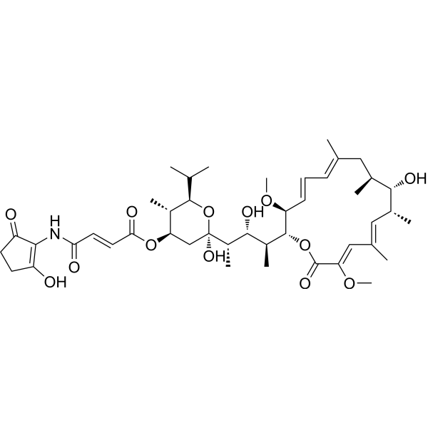 Bafilomycin B1ͼƬ