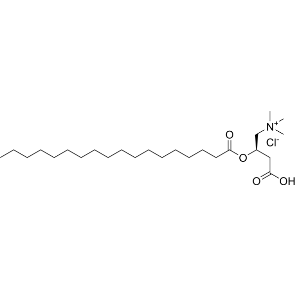 Stearoyl-L-carnitine chlorideͼƬ