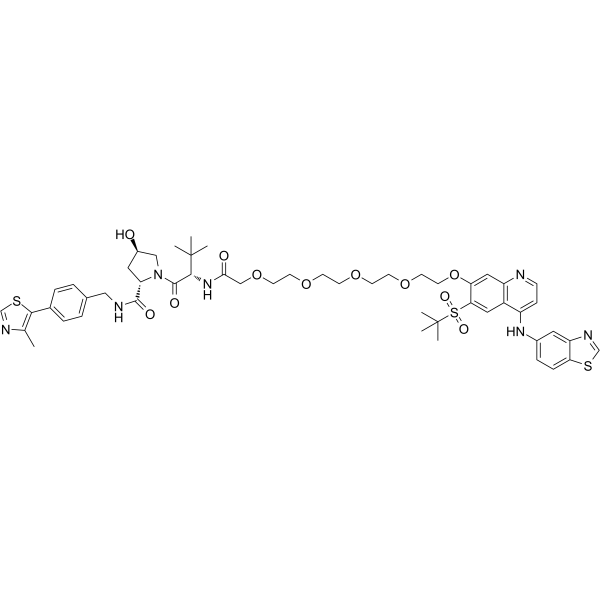 PROTAC RIPK degrader-2ͼƬ