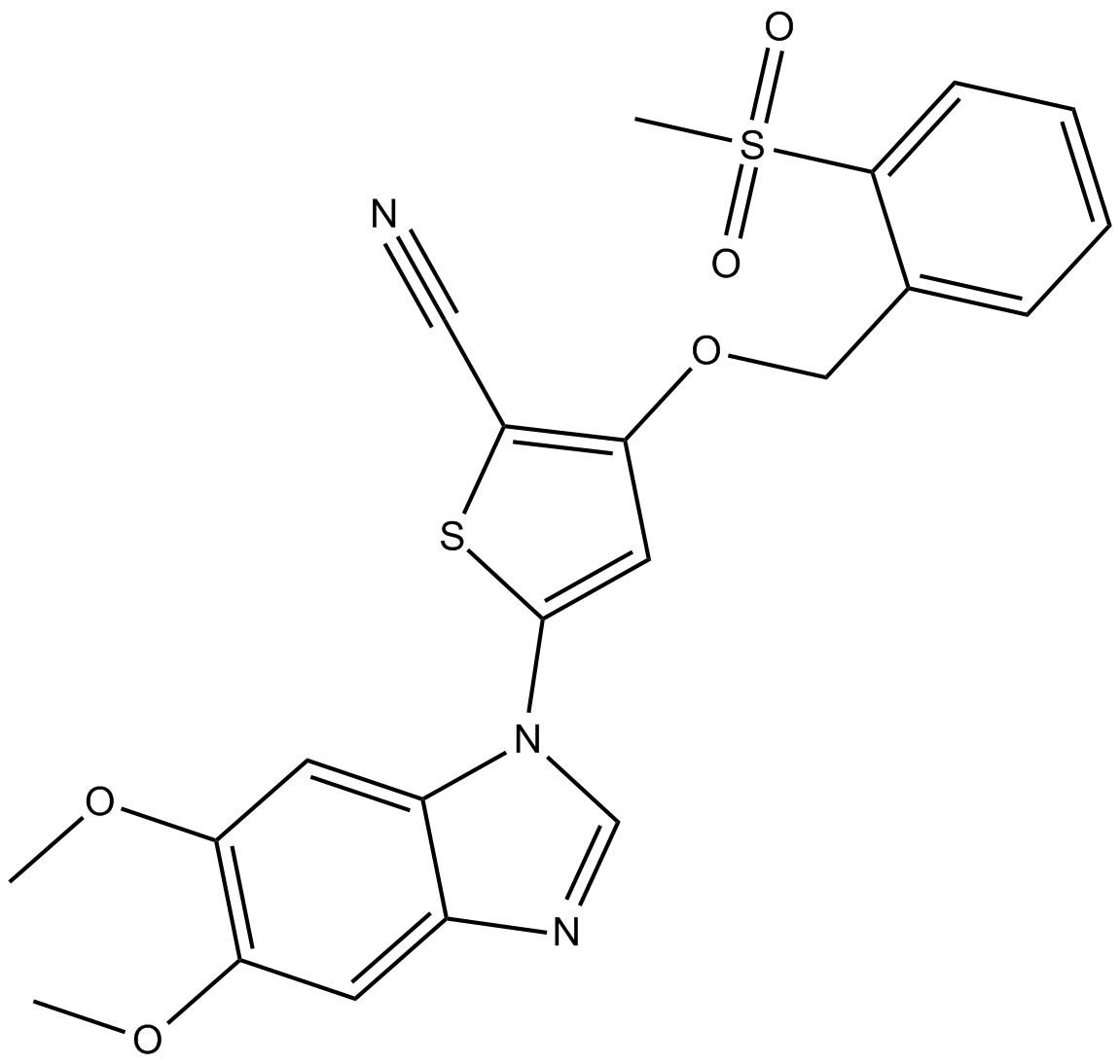 IKK-3 InhibitorͼƬ