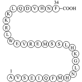 Parathyroid Hormone(1-34),bovineͼƬ