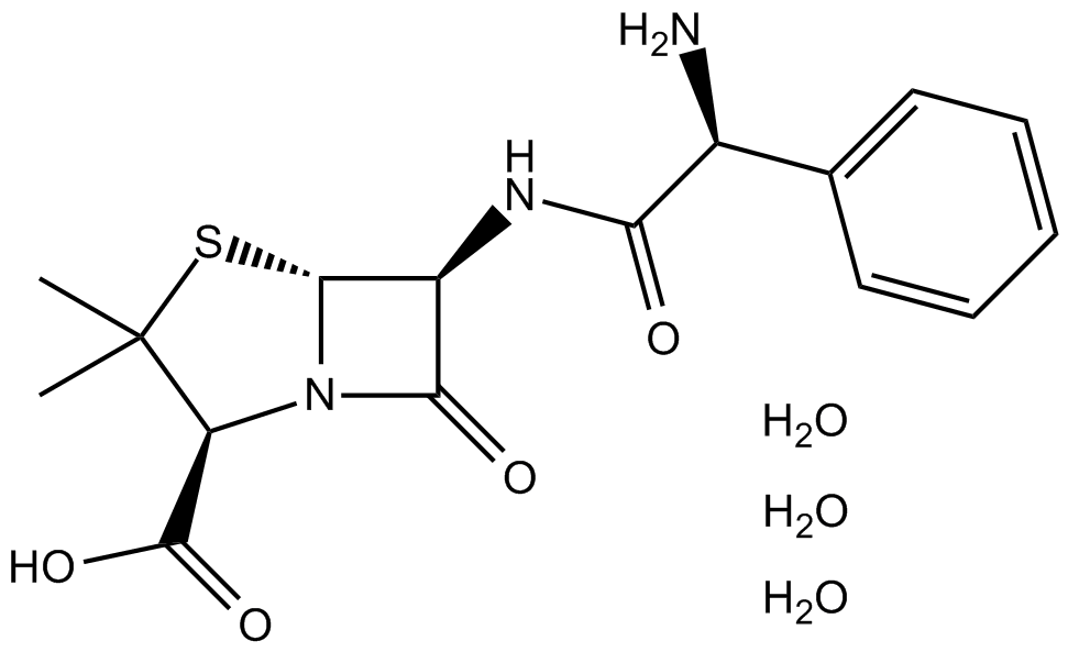 Ampicillin trihydrateͼƬ