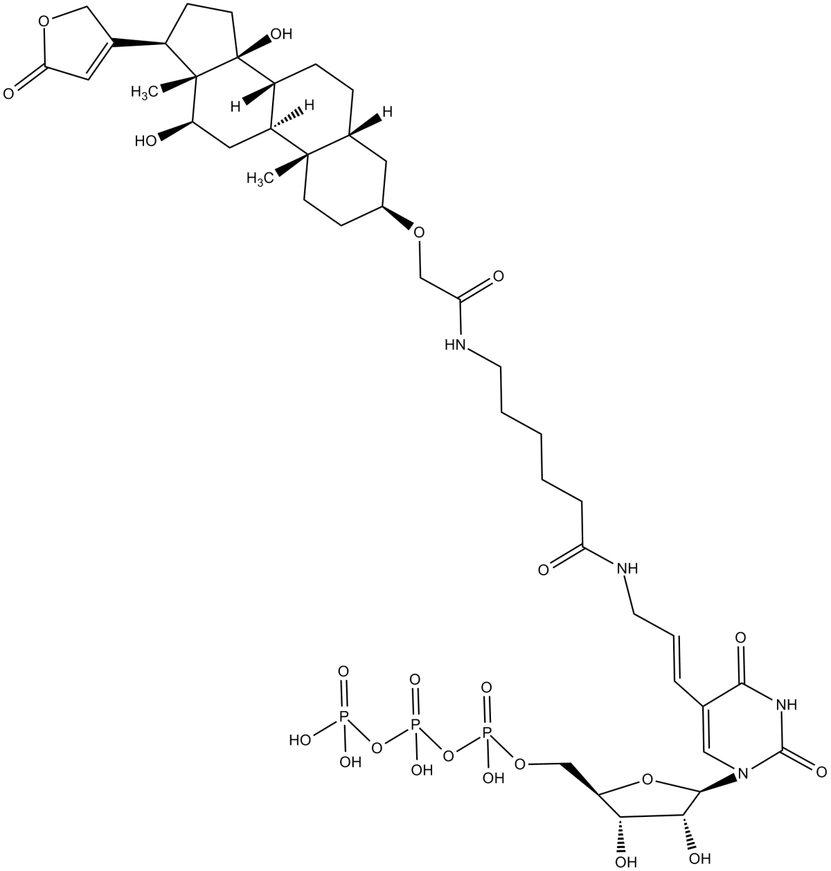 Digoxigenin-11-UTPͼƬ