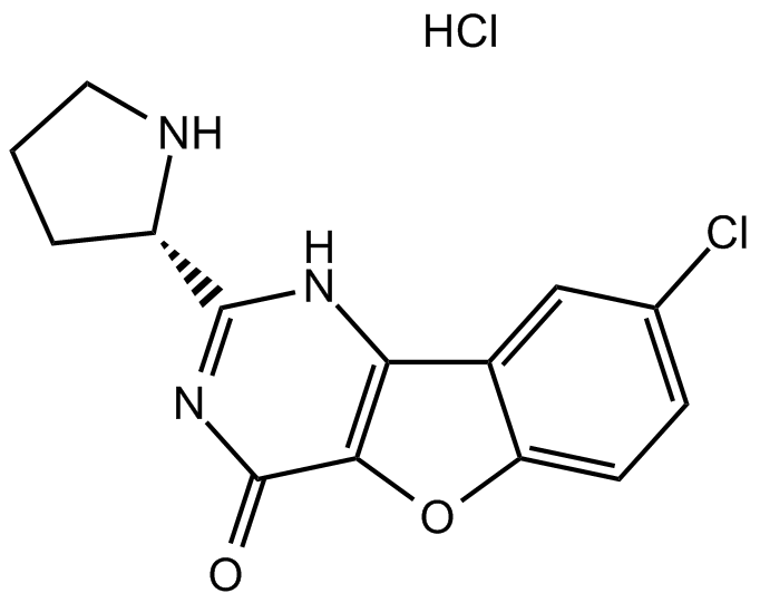 XL413 hydrochlorideͼƬ