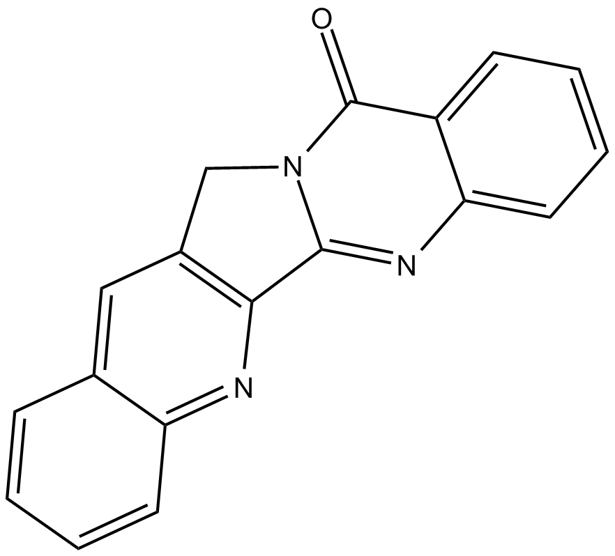 Luotonin AͼƬ