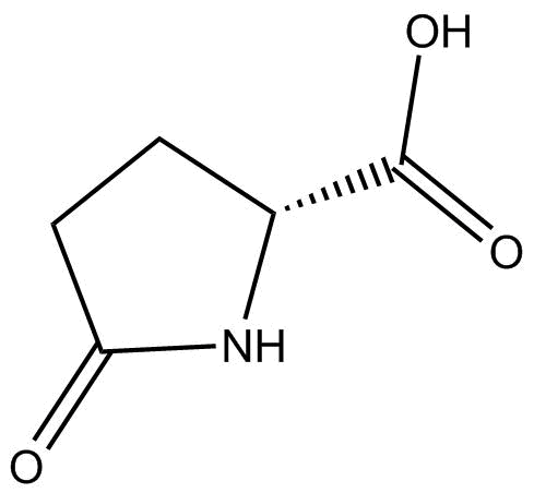 D-Pyroglutamic acidͼƬ