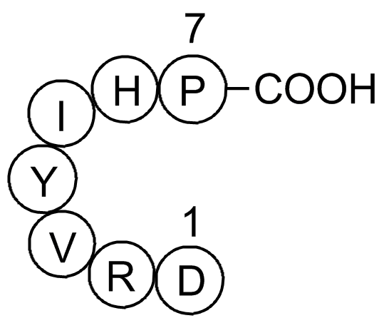 Angiotensin(1-7)ͼƬ