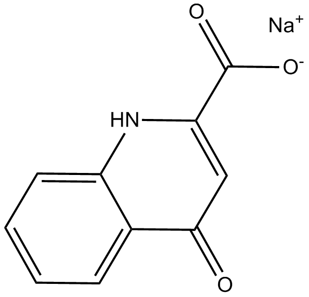 Kynurenic acid sodium saltͼƬ