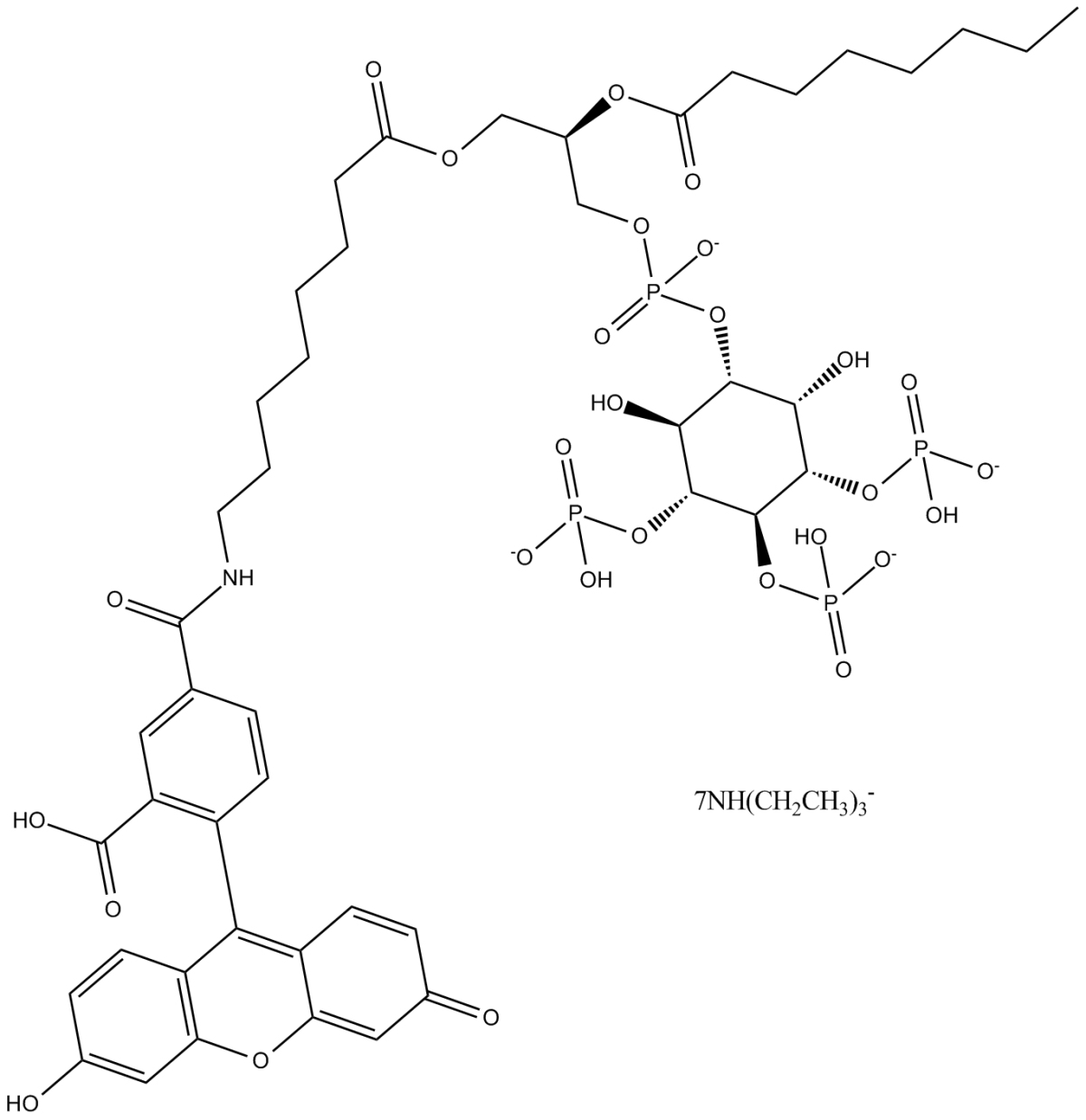 Clopidogrel Carboxylic Acid(hydrochloride)ͼƬ